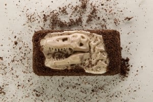 Dinosaur fossil chocolate