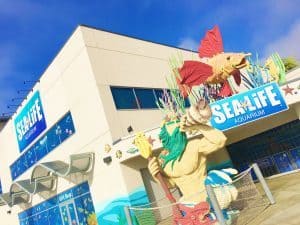 Visit the Sea Life Aquarium while you are at LEGOLAND